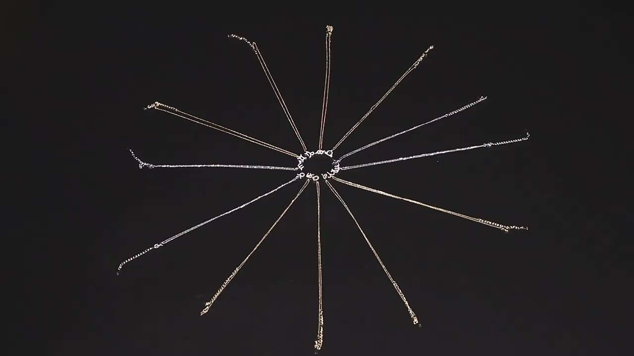 Simple CZ Twelve Constellation Pendant Necklace