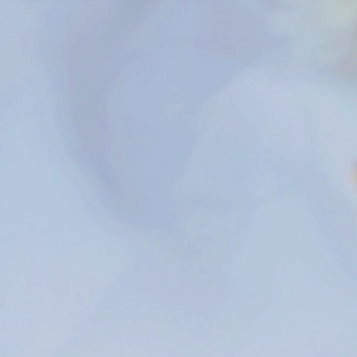 Heart White CZ Multi-Charms Women Curb Chain Jewelry Bracelet